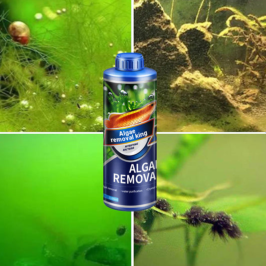 【Algae King】 Crazy Aquatic Weed Algae Remover