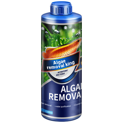 【Algae King】 Crazy Aquatic Weed Algae Remover