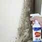 😍Mycket effektiv spray för att ta bort mögel - Förhindrar återväxt av mögel🦠